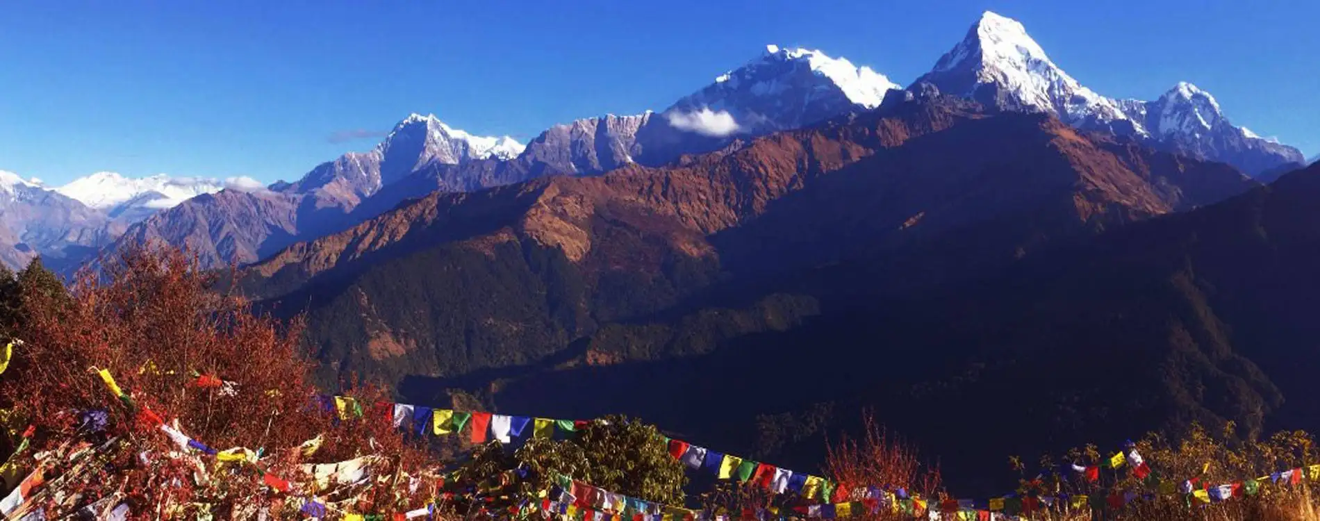 7 DAYS GHOREPANI POON HILL TREK