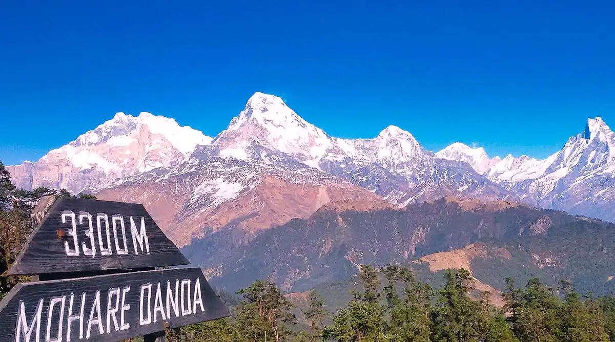 KHOPRA DANDA TREK 8 DAYS