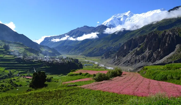 MANASLU TSUM VALLEY TREK 19 DAYS