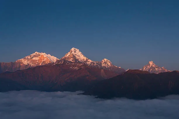 ANNAPURNA TREK AND CHITWAN JUNGLE SAFARI