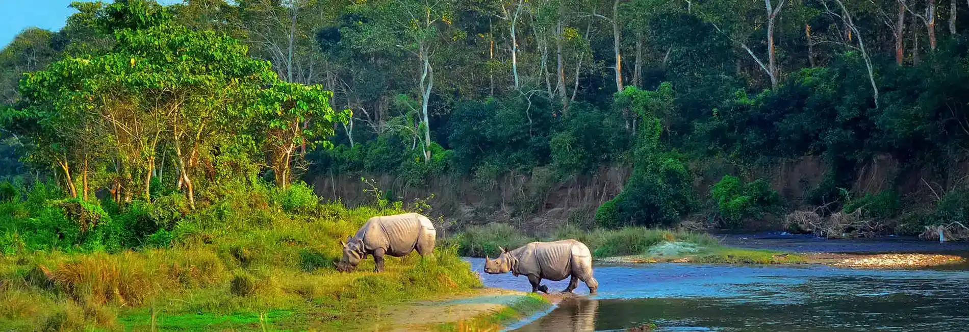 CHITWAN JUNGLE SAFARI TOUR