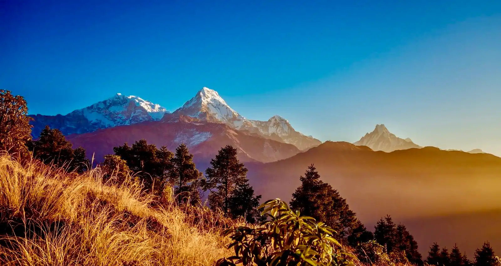 GHOREPANI POON HILL TREK
